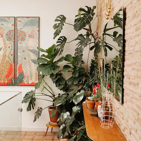 Botanico Bed & Breakfast *
